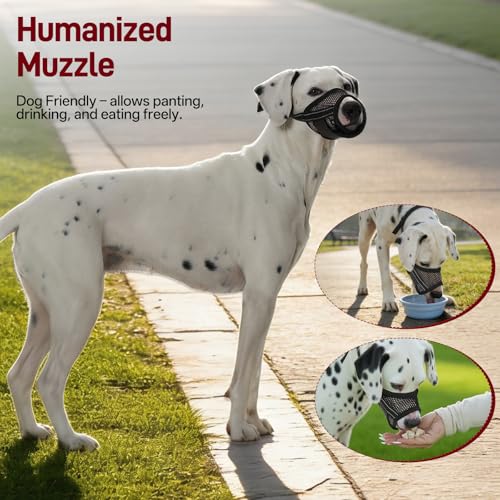 Pezluxe 2-Pack Dog Muzzle, Soft Air Mesh Muzzle Anti Biting Barking Chewing, Secure & Breathable Drinkable Pets Muzzles with Adjustable Strap, for Small Medium Large Dogs (Black-XS) - size: XS