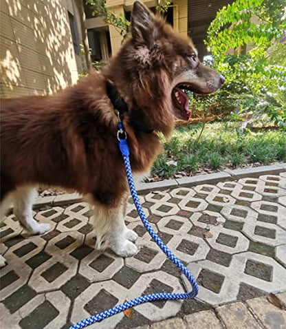 2/3/4/6/10 Foot Reflective Dog Leash Heavy Duty Strong Nylon Rope Braided for Large Medium Small Dogs Walking Training Leads (Blue, 6ft * 1/2") - color: Blue, size: 6ft * 1/2"