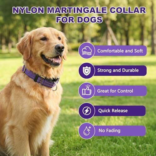 Hikiko Martingale Collar for Dogs Reflective Nylon Dog Collar with Quick Release Buckle Adjustable Training No Slip Dog Collar (X-Large, Purple) - color: Purple, size: X-Large