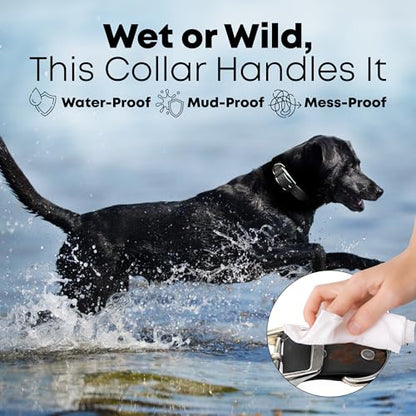 Regal Dog Products Small Black Dog Collar with Heavy Duty Double Buckle & D Ring | Vinyl Coated, Custom Fit, Adjustable Biothane Dog Collar | Chew Resistant Waterproof Center-Ring Collar for Dogs - color: Black, size: Small