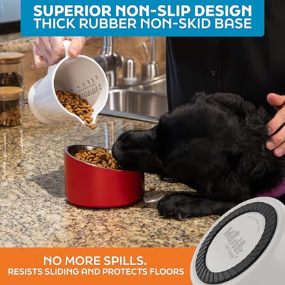 Master Pet Supply Stainless Steel Slanted Dog Cat Food Bowl - 16 oz Heavy Duty - Bone White, Double Wall Insulated, Non-Slip Elevated Bowl for French Bulldogs Pugs Cats, Anti Rust Dishwasher Safe - color: Bone White, size: 2 Cups (16 oz)