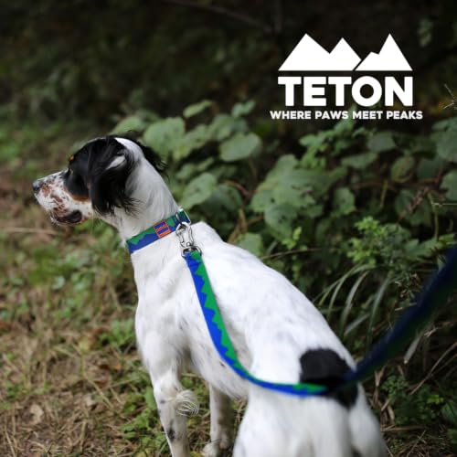 Charlie’s Backyard Teton Dog Leash, Urban to Trail 6 FT Heavy-Duty Lead Adjustable Length Hands-Free Waist-Worn, Ultra-Light Aluminum Hook, Comfort Handle with Poop Bag Clip, Sierra Dream - color: Sierra Dream