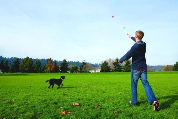 Chuckit! Pro 26XL Dog Ball Launcher, 26" Length, XL (3.5" Ball) For Dogs Over 100 Pounds - size: X-Large, style: Pro