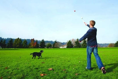 Chuckit! Pro 26XL Dog Ball Launcher, 26" Length, XL (3.5" Ball) For Dogs Over 100 Pounds - size: X-Large, style: Pro
