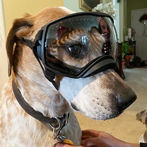 Namsan Clear Dog Goggles for Large Dogs, Wide Eyecup & Soft Frame, Anti-UV Sunglasses for Dogs Medium to Large Breed, Driving Dog Eye Protection, Windproof Dustproof, Adjustable, Clear - color: (Large)Clear Lens