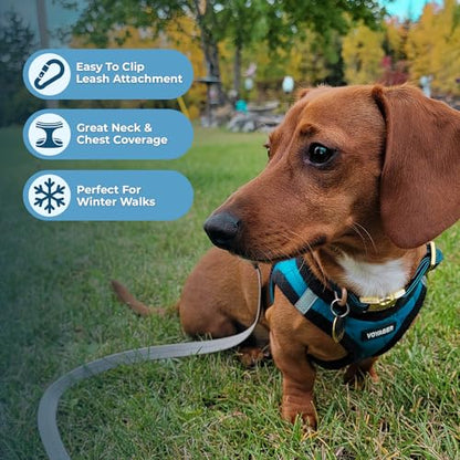 Best Pet Supplies Voyager Step-in Plush Dog Harness - Soft, Step in Vest Harness and Reflective Dog 5 ft Leash Combo with Neoprene Handle for Small and Medium Dogs, Turquoise Plush, XL - color: Harness Leash Set (Turquoise Plush), size: XL (Chest: 20.5 -