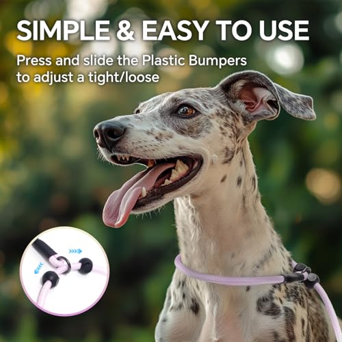 QQPETS Adjustable Slip Lead Dog Leash, Hands Free Waist Leash for Dog Walking, Reflective Training Lead with 360° Swivel Anti-Tangle, 4-7 ft Length for All Breeds - color: Yellow-purple Gradient