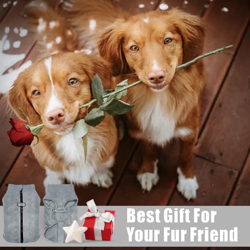 Idepet Dog Fleece Vest Sweater Zip Up Warm Pullover Dogs Jacket with D-Ring Leash Winter Cold Weater Coat Pet Sweatershirt Clothes Hoodie for Small Medium Dogs Boy Girl (Gray, XS) - color: Gray, size: XS
