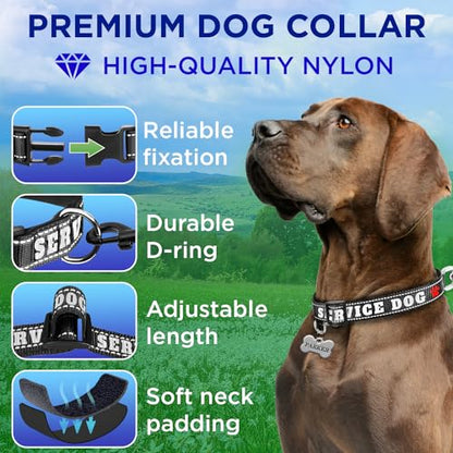 TECEUM Reflective Pet Collar – Black - Service Dog – M – Extra Soft Padding – Basic Nylon Dog Collar – Quick Release Buckle – Fits Small, Medium and Large Dogs, Puppies, Cats - color: Black - Service Dog, size: Medium