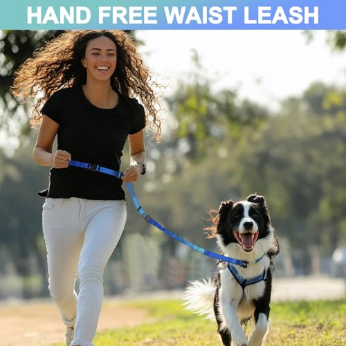 Heavy Duty Hands Free Dog Leash with Quick Release Carabiner and Adjustable No Pull Bungee Dog Running Waist Leash，for Walking and Training with Car Seat Belt 4-6FT (Aquamarine) - color: Aquamarine