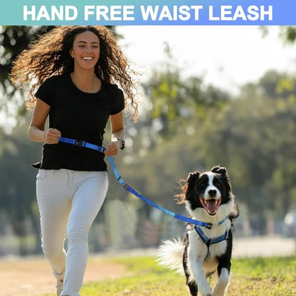 Heavy Duty Hands Free Dog Leash with Quick Release Carabiner and Adjustable No Pull Bungee Dog Running Waist Leash，for Walking and Training with Car Seat Belt 4-6FT (Aquamarine) - color: Aquamarine