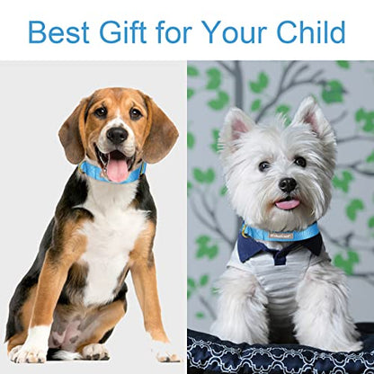 Nylon Dog Collar - Adjustable Blue Soft Webbing Dog Collars for Small Medium Large Dogs Boy Girl Puppy Collar with Safety Metal Buckle XS - color: Nylon-Blue, size: XS