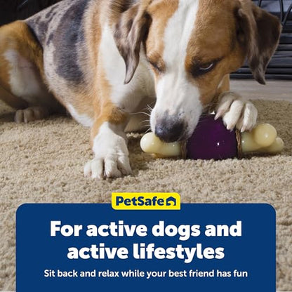 PetSafe Busy Buddy Bouncy Bone, Treat Holding Dog Toy, Large, Best for Dogs Over 75 Lb. - size: Large, style: Bouncy Bone