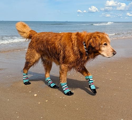 All Weather Neoprene Paw Protector Dog Boots with Reflective Straps in 5 Sizes! (Turquoise Medium) - size: Medium