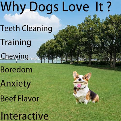 Dog Bones Chew Toys for Aggressive Chewers, 2 Pack Real Beef Flavor,Indestructible Dog Teething Chew Toys for Large/Medium/Small Breed,Tough Toy with Durable Nylon - size: 2 Pack