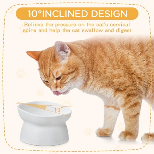 4 Pieces Plastic Tilted Elevated Cat Bowls Raised Cat Food Bowls Elevated Feeding Dish for Flat Faced Kitten Kitty Pets Supplies(White) - color: White