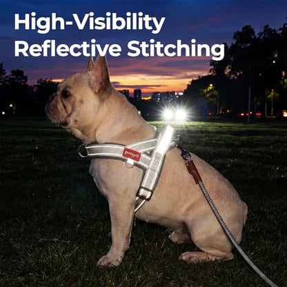No Pull Dog Harness with Handle, Reflective Dog Vest, Light Grey, M | Adjustable, Front Leash Clip, Safety Lock Buckle, Breathable Mesh Padded, Quick Fit, for Boston Terrier & Small Dogs - color: Light Grey, size: Medium