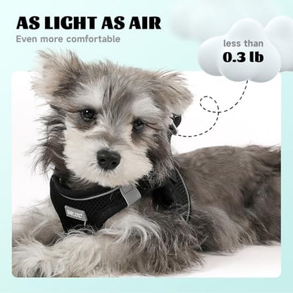 Dog Harness Small Sized and Leash Set, Step in Soft Light Puppy Vest, Breathable Mesh Pet Harness, Reflective for Safe Easy Walking. - color: Black, size: Small (Pack of 1)