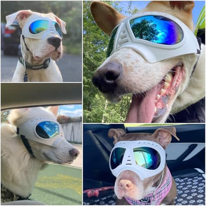 Namsan Dog Goggles for Large Dogs, Wide Snout & Soft Frame, Tactical Driving Sunglasses for Dogs Medium to Large Breed, Anti-UV Dog Eye Protection, Windproof Dustproof, Adjustable, White - color: (Large)Blue Lens