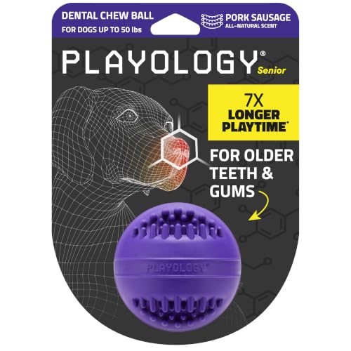 Playology Dog Toys | Dental Chew Ball for Senior Dogs | Pork Sausage Scented Medium Toy | Dog Balls for Healthy Teeth and Gums - size: Medium Chew Ball, style: Pork Sausage
