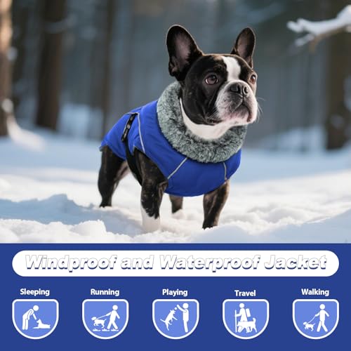 DENTRUN Warm Dog Winter Coat, Easy On Reflective Turtleneck Fleece Jacket | Adjustable buckle, easy on off, windproof & water-repellent, thick fleece snowsuit, outfit fits small to large breeds - color: Blue, size: Large