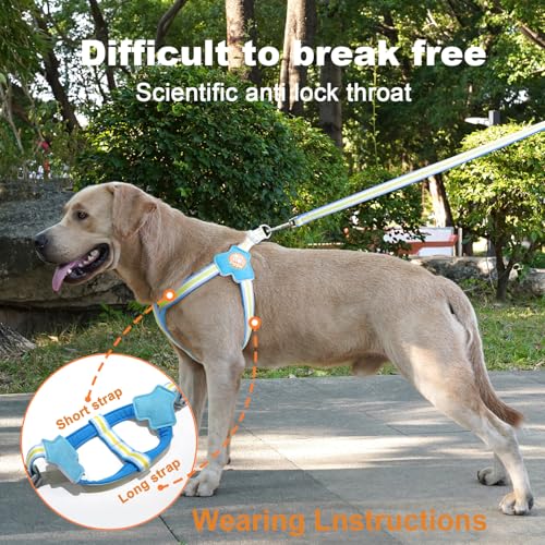 COODEO Anti-Pull Dog Harness with Reflective Strips & Breathable Padding & Anti-Escape Design, Quick Adjustable Dogs Training & Walking (Blue, M) - color: Blue, size: M