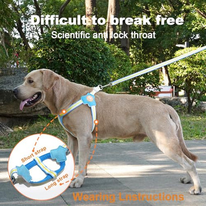 COODEO Anti-Pull Dog Harness with Reflective Strips & Breathable Padding & Anti-Escape Design, Quick Adjustable Dogs Training & Walking (Blue, S) - color: Blue, size: S