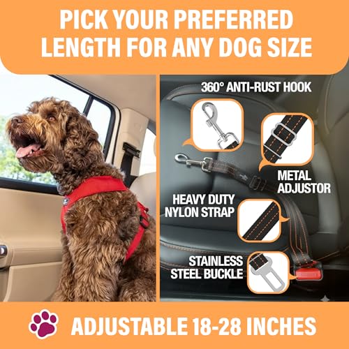 Active Pets Orange Car Seat Belt for Dogs, Attaches to Harness & Collar, Adjustable 18" - 24" Travel Restraint System Fits Small - Large Pups for Safety & Comfort, Essential Pet Supplies & Accessories - style: Orange - 1 Pack