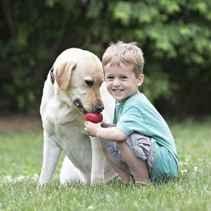 KONG Classic Stuffable Dog Toy - Fetch & Chew Toy for Dogs - Treat-Filling Capabilities & Erratic Bounce for Extended Play Time - Durable Natural Rubber Material - for Extra Large Dogs (Pack of 2) - size: X-Large(2-Pack)