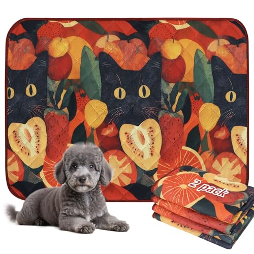 BVAGSS Washable Pee Pads for Dogs, 2 Pack Reusable Leakproof Puppy Wee Wee Pad, Non-Slip Waterproof Pet Training Pads, Super Absorbent Whelping Pads XH081 (Cat, 24X24 Inch (Pack of 2)) - color: Cat, size: 24X24 Inch (Pack of 2)