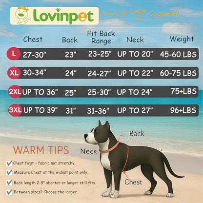 LovinPet Dog Warm Coat with Hood – Medium & Large Dinosaur Hoodie Winter Jacket for Cold Weather, Yellow & Green Coat for Large Dogs,XXL - size: XX-Large