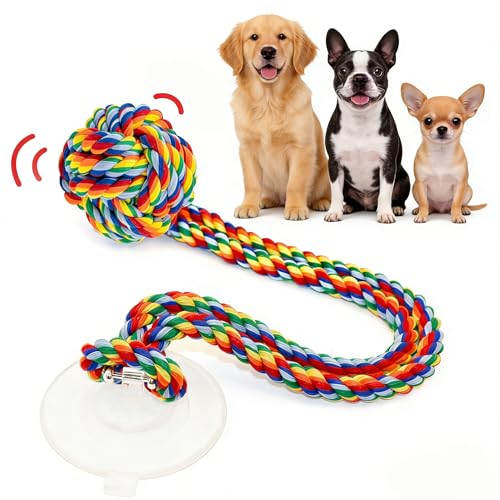 Interactive Dog Toy with Suction Cup, Rope Ball & Built-in Bell, Rainbow | Tug-of-War Interactive Play|Supports Puppy Teething & Healthy Chewing|Designed for Small Dogs|Solo Indoor Enrichment Toy - color: Rainbow(with Built-in Bell)