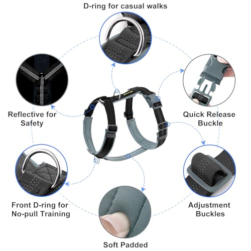 Plutus Pet No Pull Dog Harness, Adjustable Nylon Harness with Soft Padding, Reflective and Heavy Duty Dog Harness for Small, Medium, Large Dogs(Black, L) - color: Black, size: L