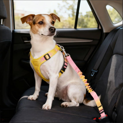 BZ Pet Collective Adjustable Dog Seat Belt for Car, Shock Absorbing Bungee Pet Safety Tether with Vehicle Seatbelt Buckle & Swivel Clip, Travel Restraint for Small Medium Large Dogs