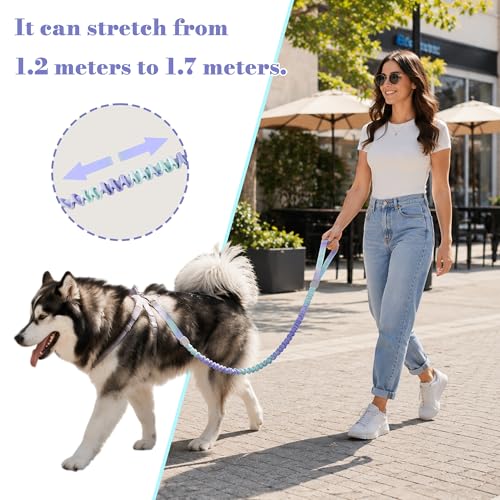 Dog Leash for Small to Medium Dogs, Shock Absorbing Dog Leashs, Dog Walking Leash, Dog Training Leashs, Ombre Color， 4-5.5 Feet(Violet-Green Ombré) - color: Violet-Green Ombré