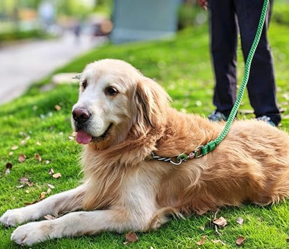 2/3/4/6/10 Foot Reflective Dog Leash Strong Nylon Rope Braided Heavy Duty for Large and Medium Small Dogs Walking Training Leads (Green, 6ft * 3/4") - color: Green, size: 6ft * 3/4"