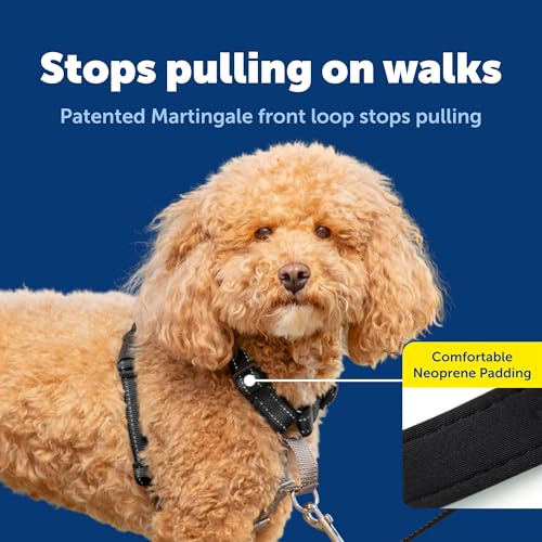 PetSafe 3 in 1 No-Pull Dog Harness - Walk, Train or Travel - Helps Prevent Pets from Pulling on Walks - Seatbelt Loop Doubles as Quick Access Handle - Reflective Accents - Small, Black - color: Black, size: Small (Pack of 1)