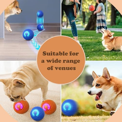 Interactive Duraspin Dog Ball, Self-Bouncing Vibrating & Auto-Rolling, Auto Stop Touch Start Jumping Ball Toy for Small/Medium Dogs (52mm, Orange) - color: Orange