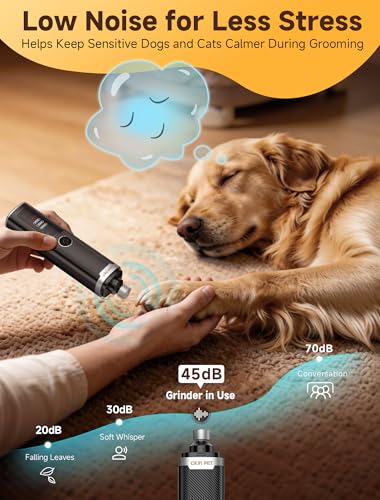 Dog Nail Grinder, Quiet Electric Dog Nail Trimmer with 2 LED Lights, 3-Speed Pet Nail Grinder for Dogs & Cats, Rechargeable 2000mAh Nail Grinder for Small Medium Large Dogs with Light, Black - color: Black