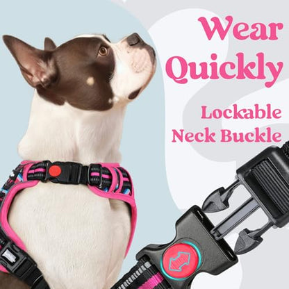 rabbitgoo Dog Harness Small Sized, No Pull Easy On & Off with 3 Buckles Pet Harness, Adjustable Soft Walking Vest with 2 Clips and Handle, Reflective for Small Dogs, Mountain Rose, S - color: Mountain Rose, size: Small
