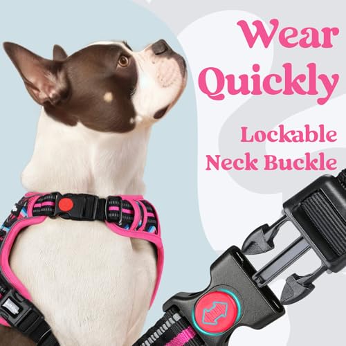 rabbitgoo Dog Harness Small Sized, No Pull Easy On & Off with 3 Buckles Pet Harness, Adjustable Soft Walking Vest with 2 Clips and Handle, Reflective for Small Dogs, Mountain Rose, S - color: Mountain Rose, size: Small