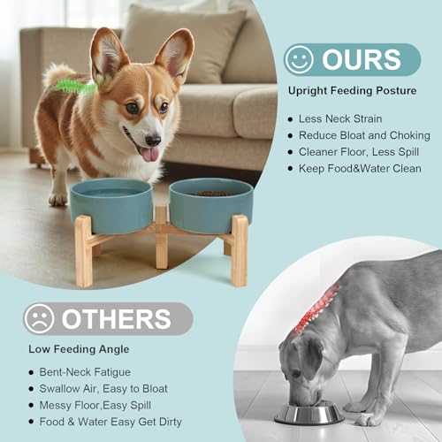 SPUNKYJUNKY Elevated Dog Bowls Ceramic, 6.1'' Dogs and Cat Food Water Bowls Raised with Non-Slip Bamboo Stand for Medium Sized Breed Microwave Dishwasher Safe - 28.7 OZ,Dark Green - color: Dark Green, size: 6.1 in - 3.6 cups