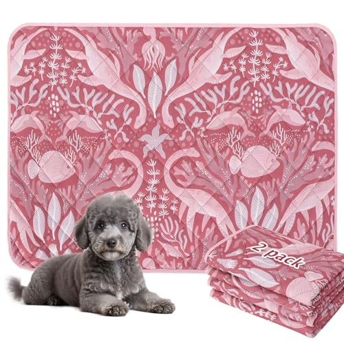 BVAGSS Washable Pee Pads for Dogs, 2 Pack Reusable Leakproof Puppy Wee Wee Pad, Non-Slip Waterproof Pet Training Pads, Super Absorbent Whelping Pads XH081 (Dino Pink, 24X24 Inch (Pack of 2)) - color: Dino Pink, size: 24X24 Inch (Pack of 2)