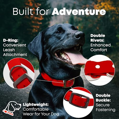 Regal Dog Products Large Red Dog Collar with Heavy Duty Double Buckle & D Ring | Vinyl Coated, Custom Fit, Adjustable Biothane Dog Collar | Chew Resistant Waterproof Center-Ring Collar for Dogs - color: Red, size: Large