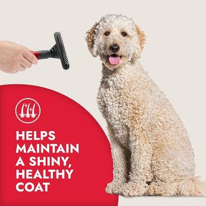 KONG Double-Sided Rake & Deshedding Tool – Detangling & Shedding Control, Rounded Metal Tips, Non-Slip Grip, for Medium to Large Dogs with Medium to Long Coats, Red/Gray - size: Medium Double-Sided Rake