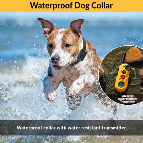 E-Collar Educator EZ 1/2 Mile Dog Training Collar, 3 Dog, Yellow | Ergonomic Remote, Safe Humane Vibration Stimulation, Pavlovian Tone, Waterproof Odorproof Biothane Collar - size: 3 Dog