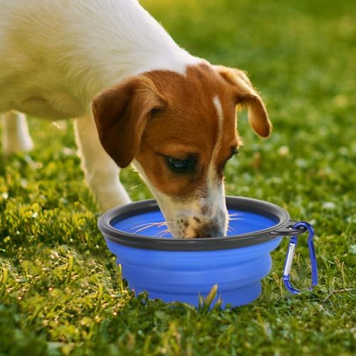 Dog Bowl Pet Collapsible Bowls for Travel，1 Pack for Cats Dogs Pets, BPA Free Portable Feeding Watering Dish Water Bowl with 2 Carabiner for Traveling Camping Walking - color: 1P-Blue, size: Diameter 9"/350 Ml