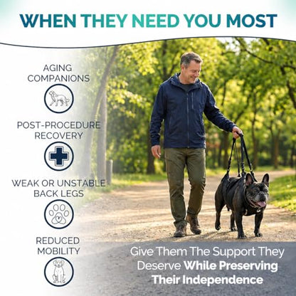Medium Dog Sling Carrier – 27-38 Lb. Dog Sling for Medium Dogs Hind Leg Support – Doggie Lift M Full Body Design with Breathable Mesh and Adjustable Straps for Safe Mobility Assistance