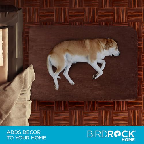 BIRDROCK HOME 2" Memory Foam Dog Beds | Ultra Soft Plush Pet Bed | Removable Cover | Pet | Crate Bed (40 X 26, Brown) - size: Large