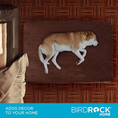 BIRDROCK HOME 2" Memory Foam Dog Beds | Ultra Soft Plush Pet Bed | Removable Cover | Pet | Crate Bed (40 X 26, Brown) - size: Large